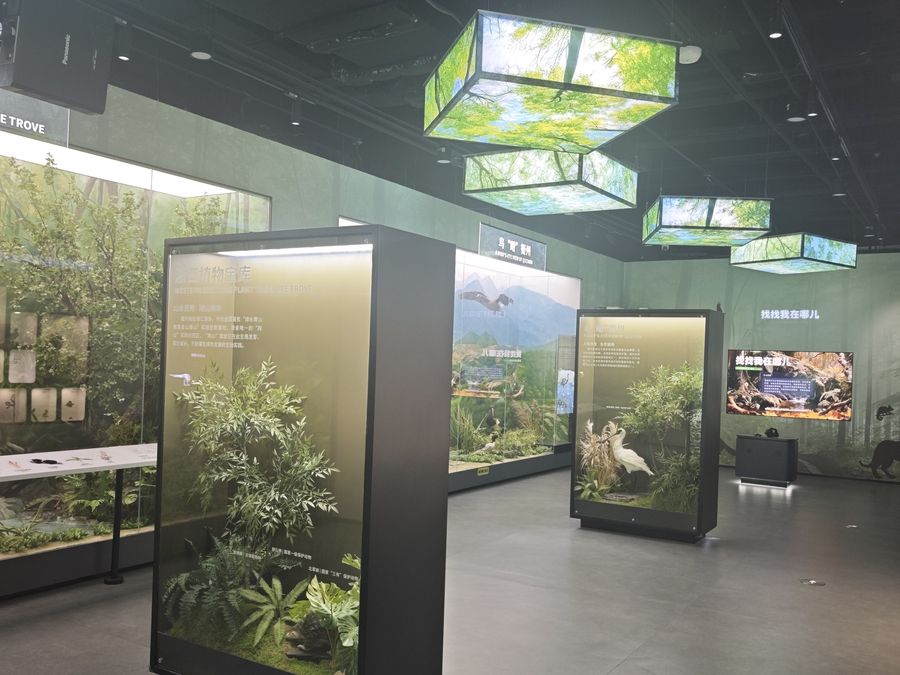 Ecology & Nature exhibit installation