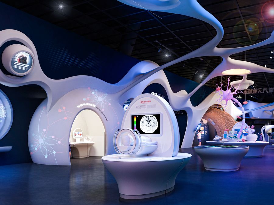 Body, Brain & AI exhibit installation