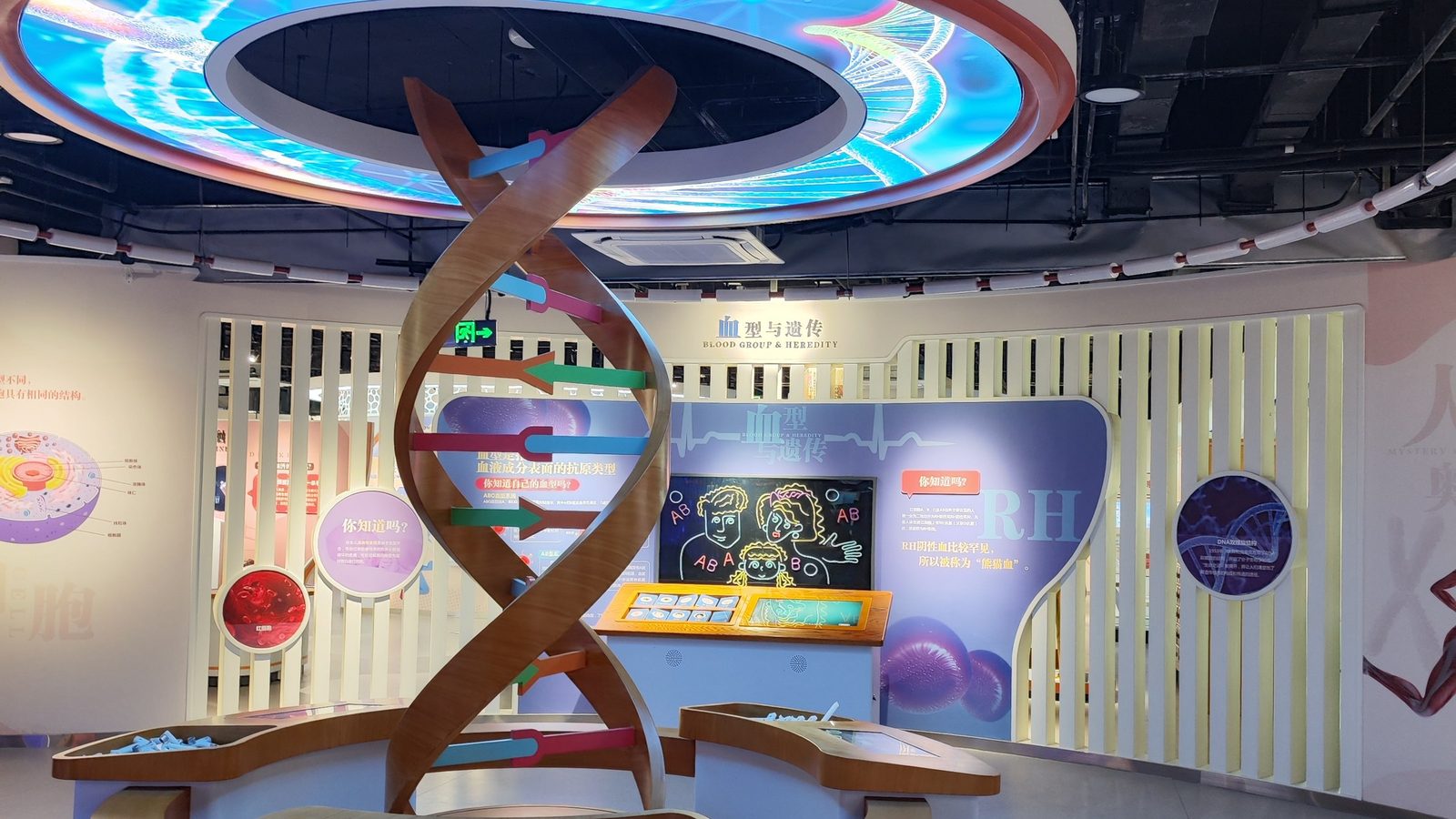 Life Science & Health hall