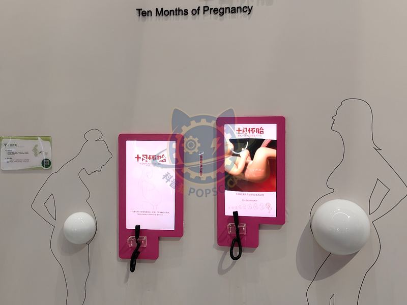 to be pregnant for ten months — Life Science & Health exhibit for science museums