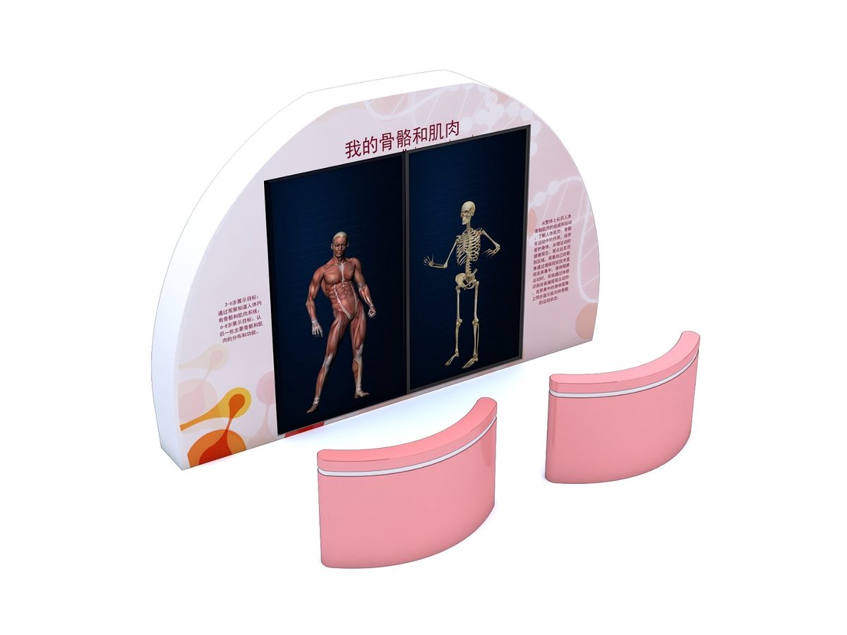 Bones and Muscles