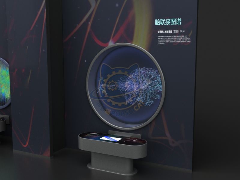 Brain connectivity map — Digital & AI exhibit for science museums