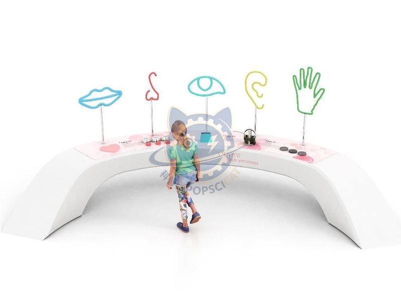 Brain and senses — Life Science & Health exhibit for science museums