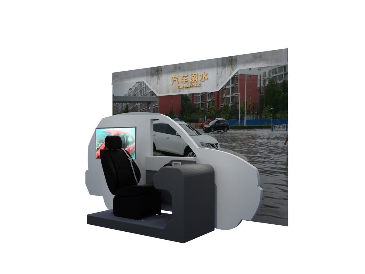 Car Submersion