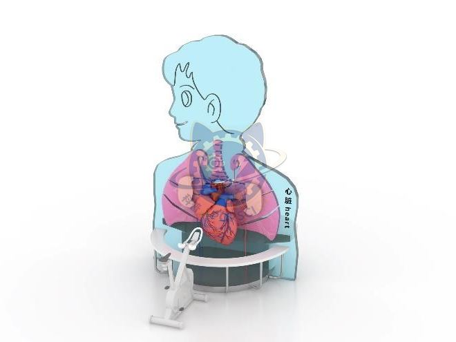 Cardiopulmonary function test