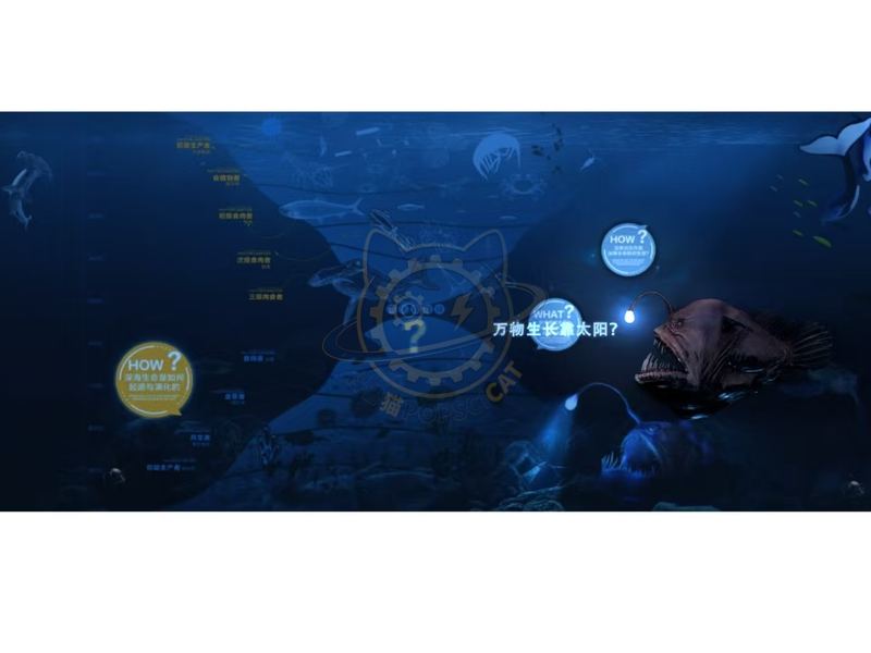 Chemical energy synthesis — Earth & Ecology exhibit for science museums