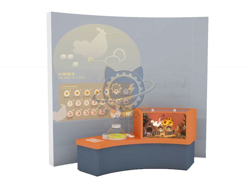 Chicken Egg Production — Earth & Ecology exhibit for science museums
