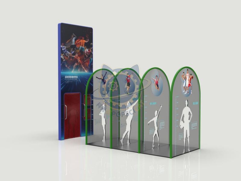 Comparison of Athletes' Body Shapes — Life Science & Health exhibit for science museums