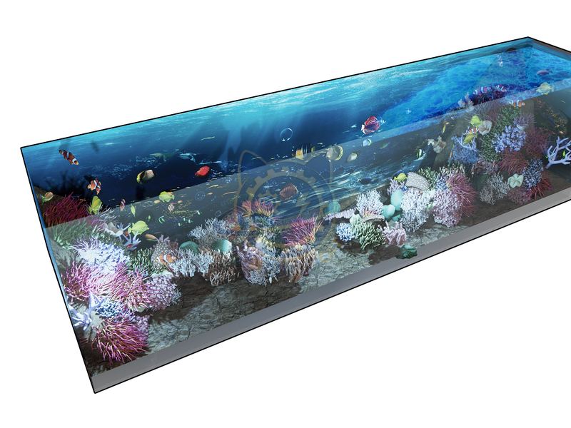Coral Dream World