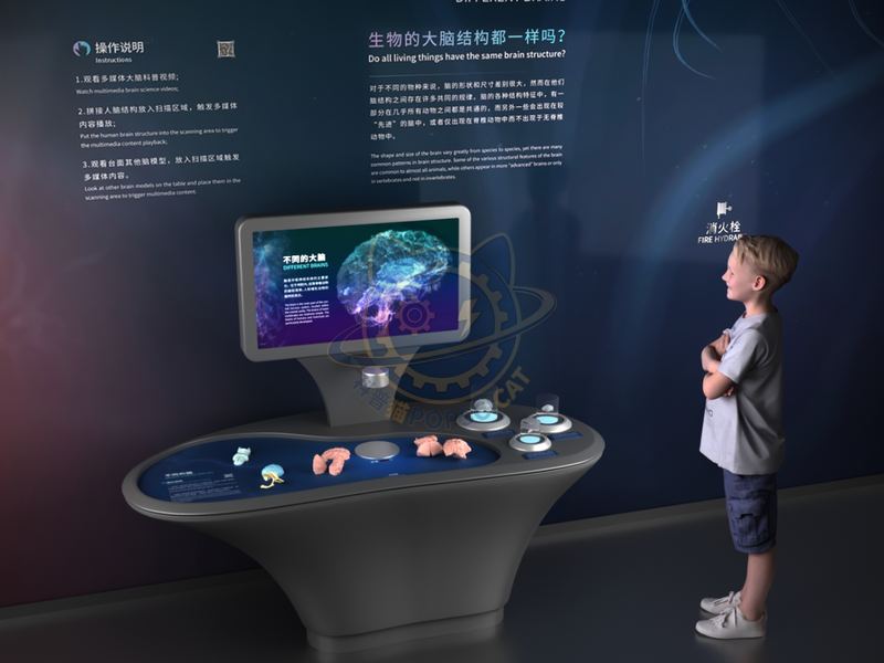 Different brains — Digital & AI exhibit for science museums