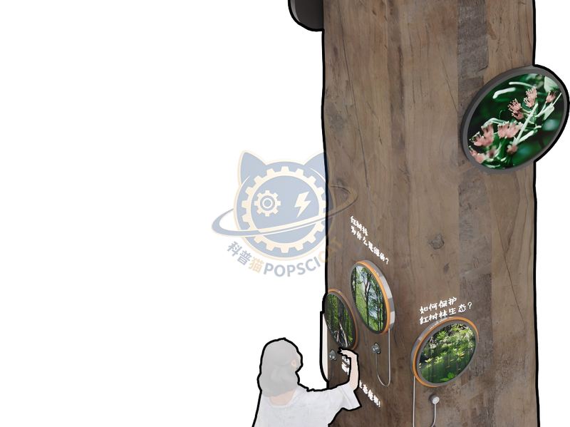 Diversity of mangrove species in the South China Sea — Earth & Ecology exhibit for science museums