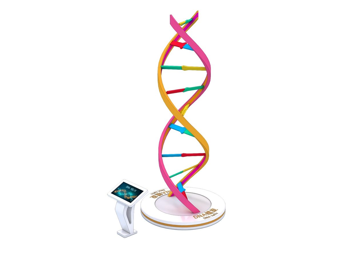 DNA Double Helix