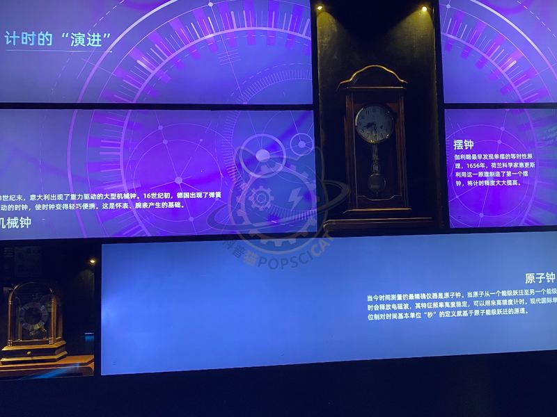 The Evolution of Timing — Basic Science exhibit for science museums