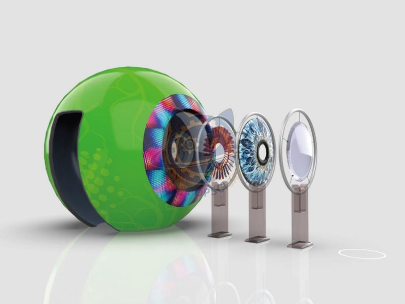 Exquisite eyes — Life Science & Health exhibit for science museums