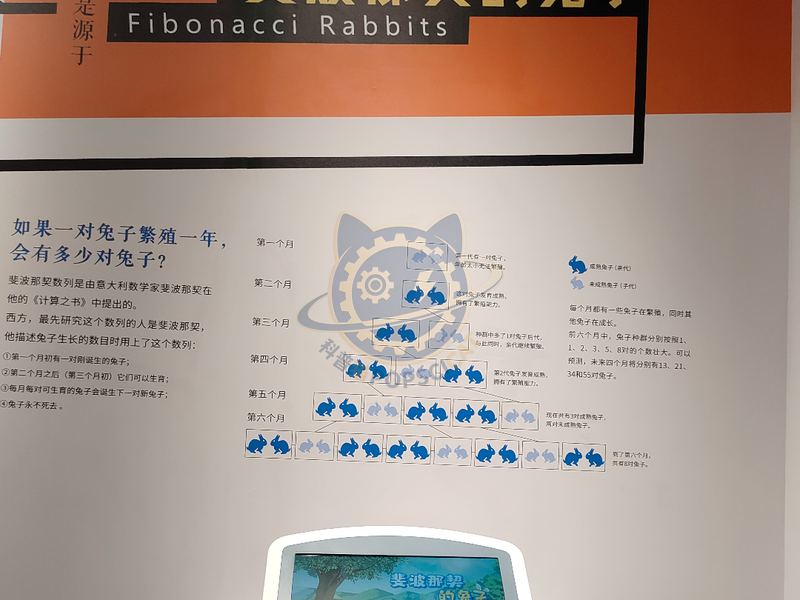 Fibonacci's Rabbit — Basic Science exhibit for science museums