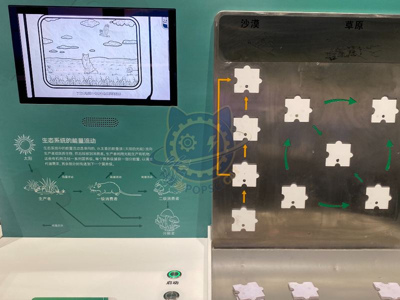 Food chain puzzle — Earth & Ecology exhibit for science museums
