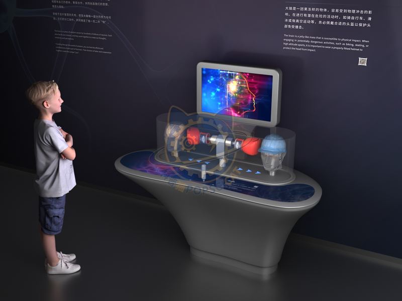 Fragile brain — Digital & AI exhibit for science museums