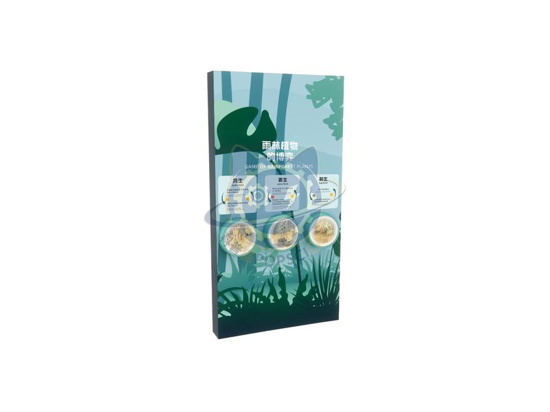 Game of Rainforest Plants — Earth & Ecology exhibit for science museums