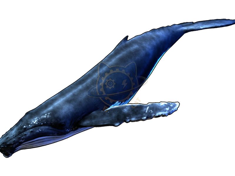 A gentle island in the deep sea — Earth & Ecology exhibit for science museums