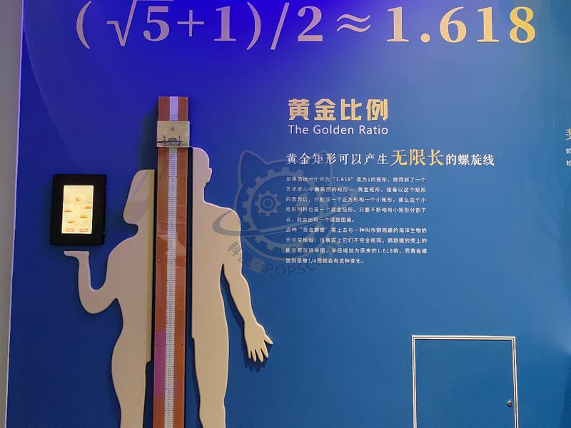 golden ratio — Basic Science exhibit for science museums