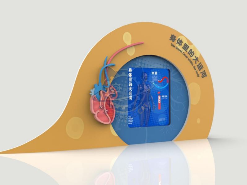 The Grand Canal within the body — Life Science & Health exhibit for science museums