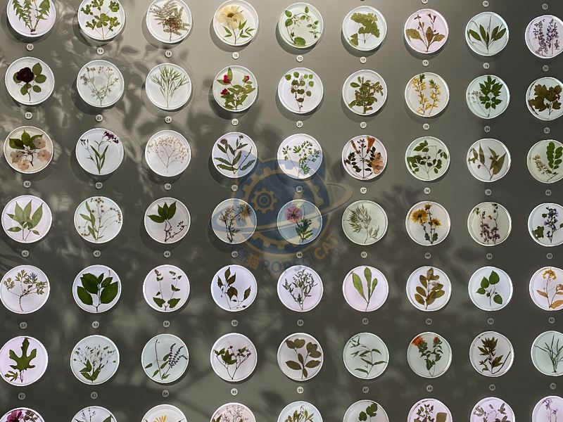 Henan Plant Exhibition Wall — Earth & Ecology exhibit for science museums