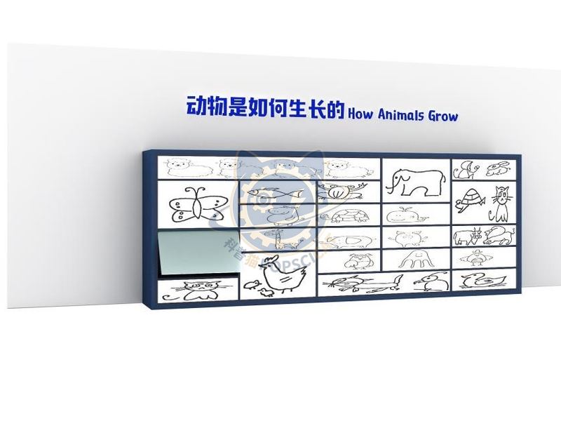 How do animals grow — Earth & Ecology exhibit for science museums