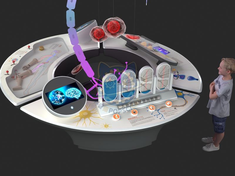 How much do neurons know — Digital & AI exhibit for science museums