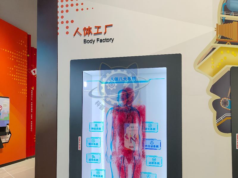 Human body factory — Life Science & Health exhibit for science museums