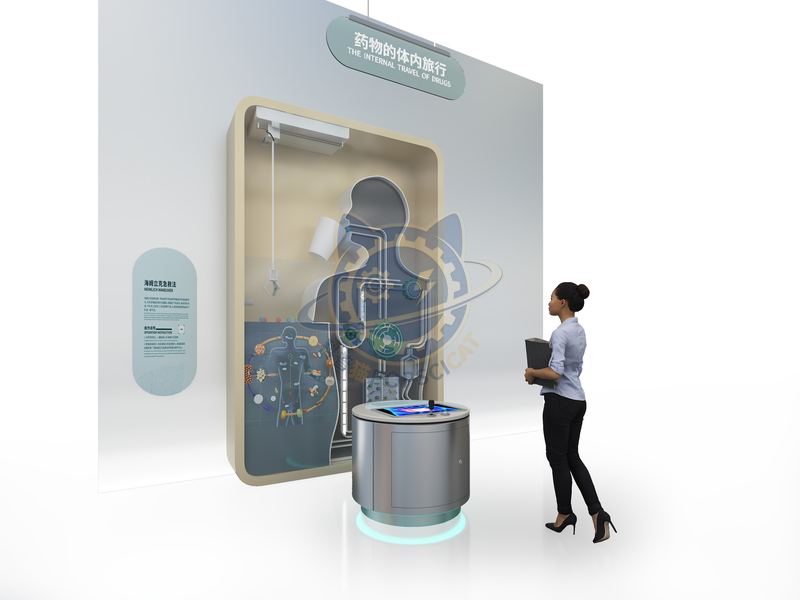 The internal travel of drugs — Life Science & Health exhibit for science museums