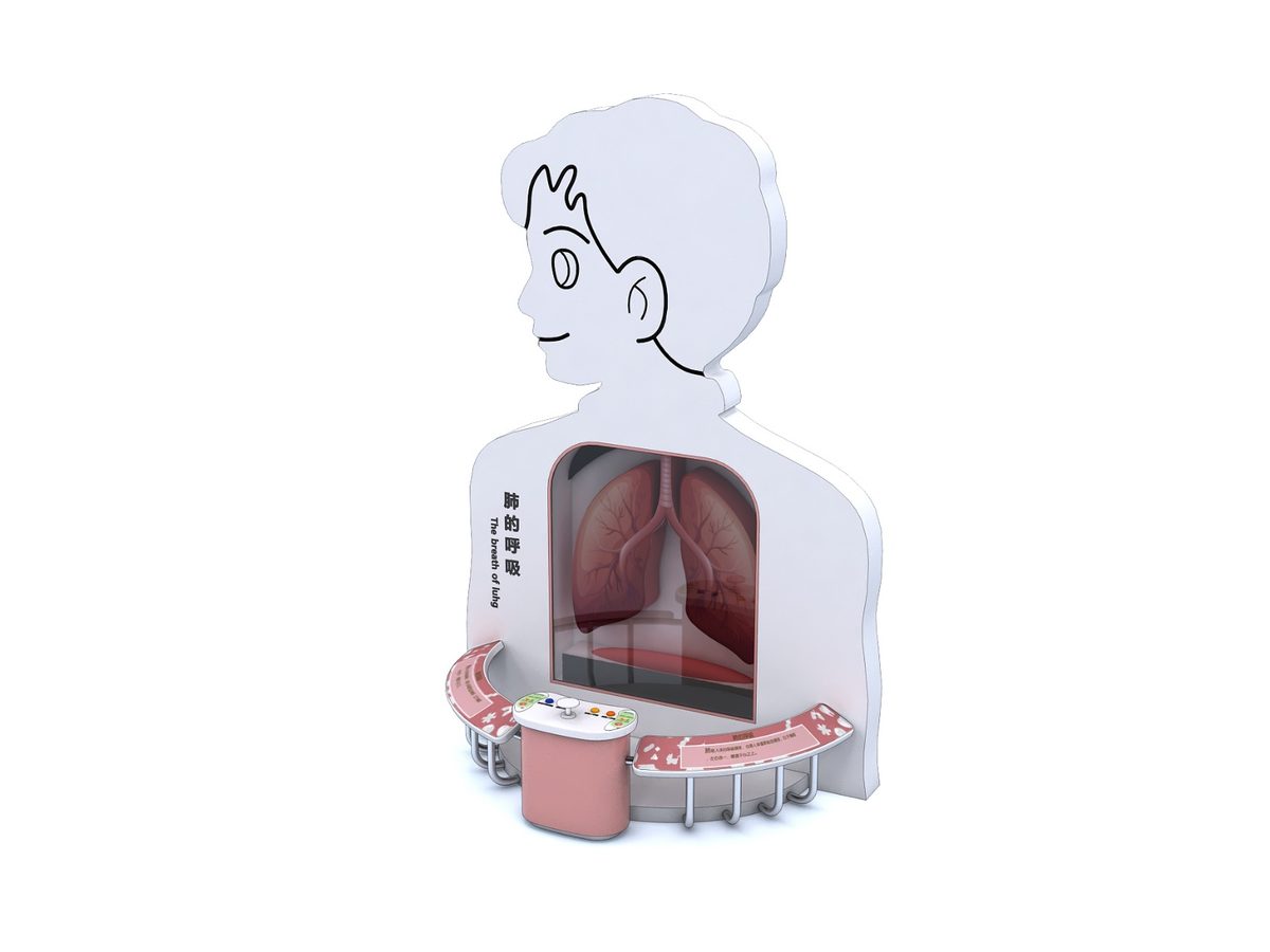Breathing Lungs