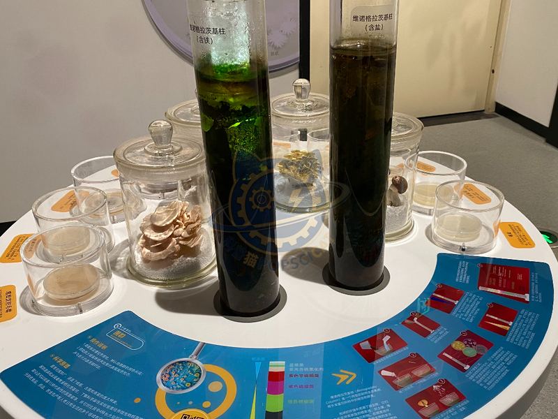 microbiota — Earth & Ecology exhibit for science museums