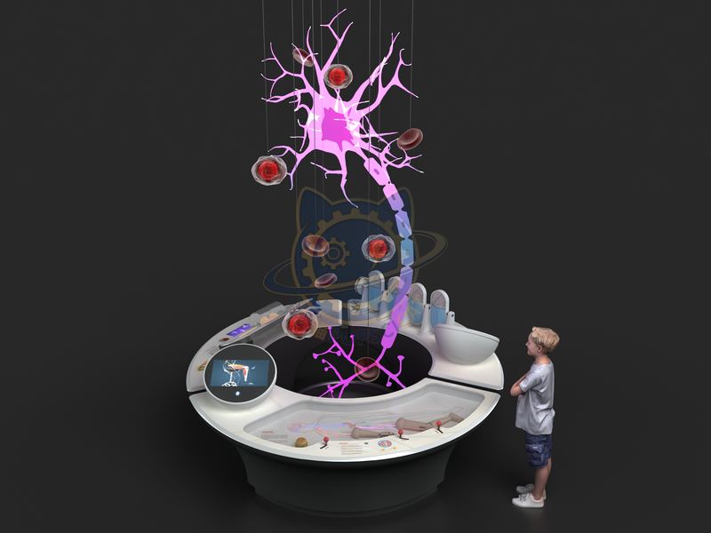 Neural circuit — Digital & AI exhibit for science museums
