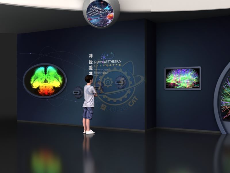 Neuroaesthetics — Digital & AI exhibit for science museums