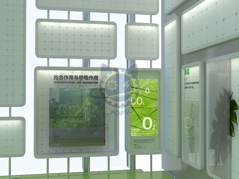 Photosynthesis and respiration — Technology & Everyday Life exhibit for science museums