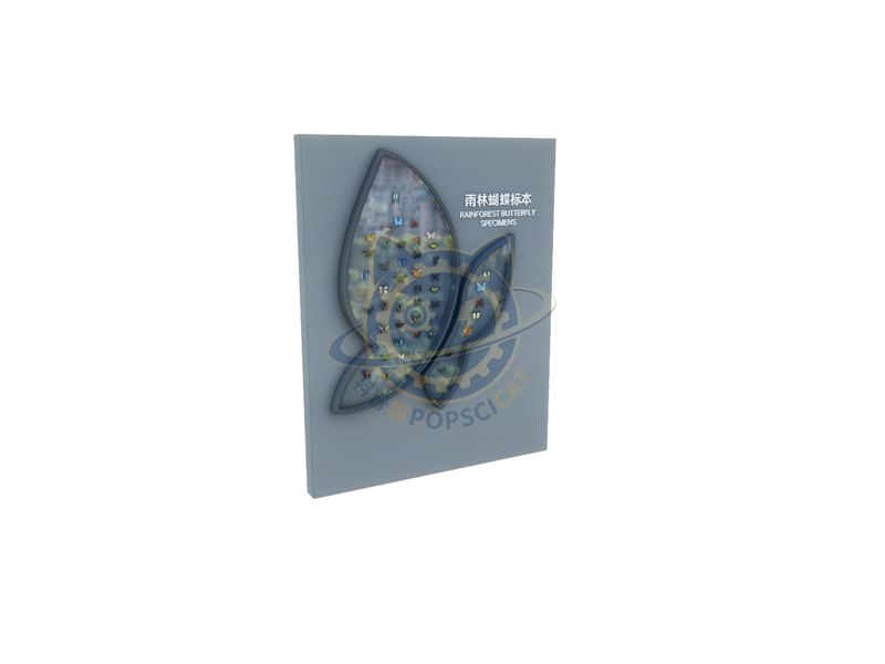 Rainforest butterfly specimen — Earth & Ecology exhibit for science museums