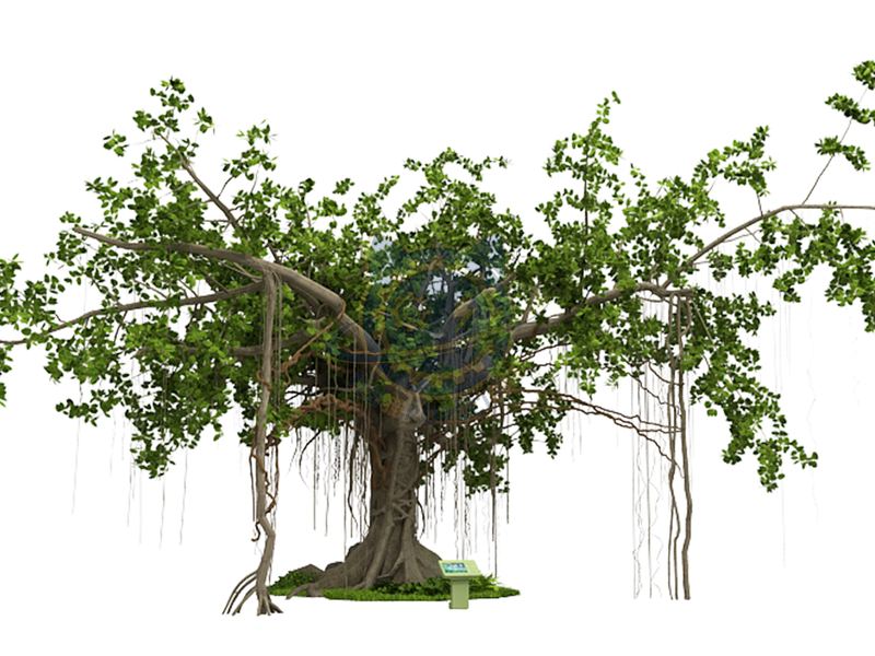 Rainforest Wonders — Earth & Ecology exhibit for science museums