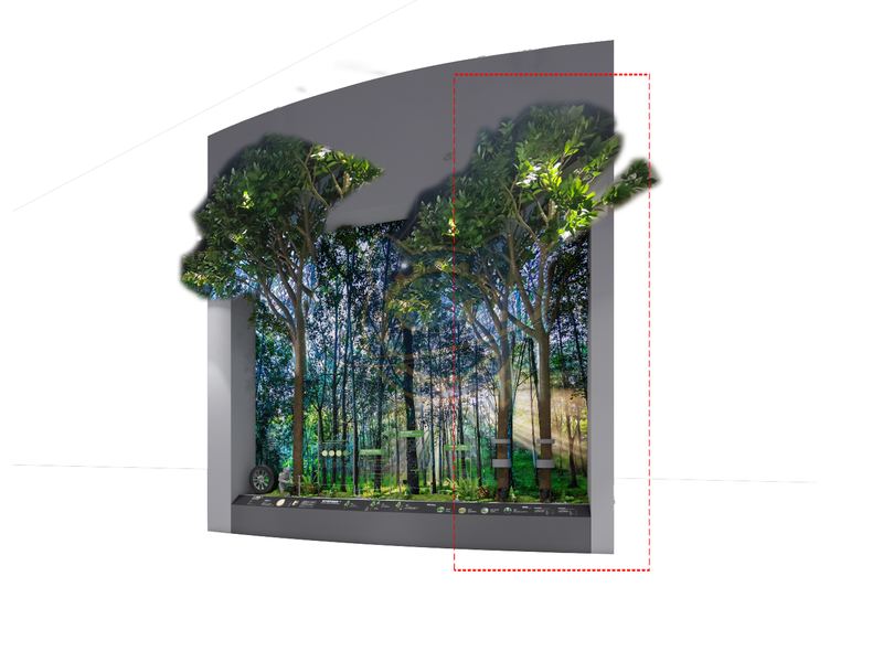 Relay breeding of rubber trees