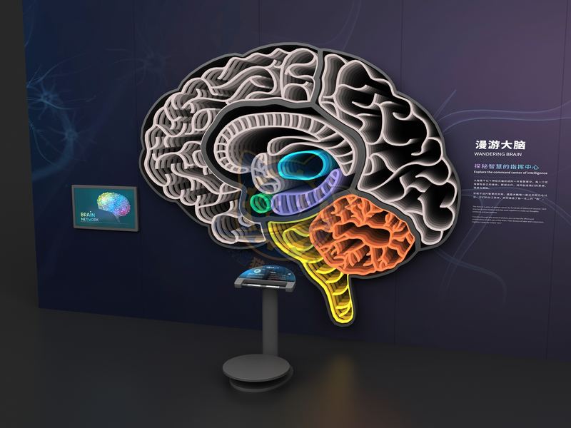 Roaming the Brain - cerebellum — Digital & AI exhibit for science museums