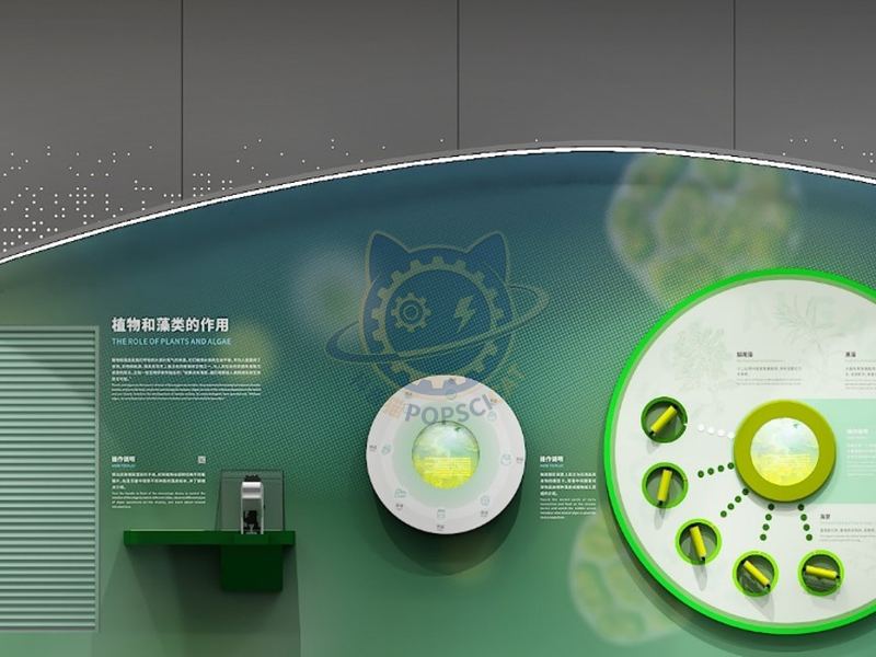 The role of plants and algae — Earth & Ecology exhibit for science museums