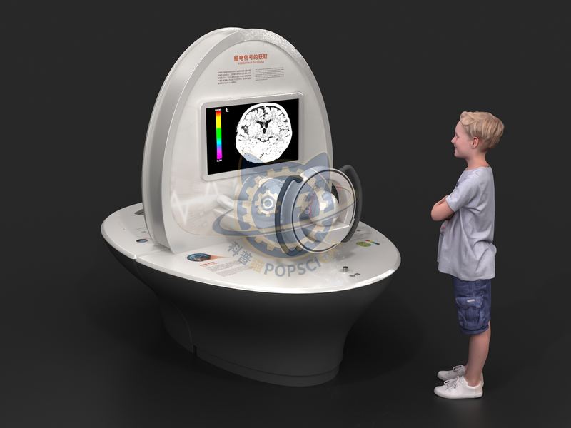 Scan the brain — Digital & AI exhibit for science museums