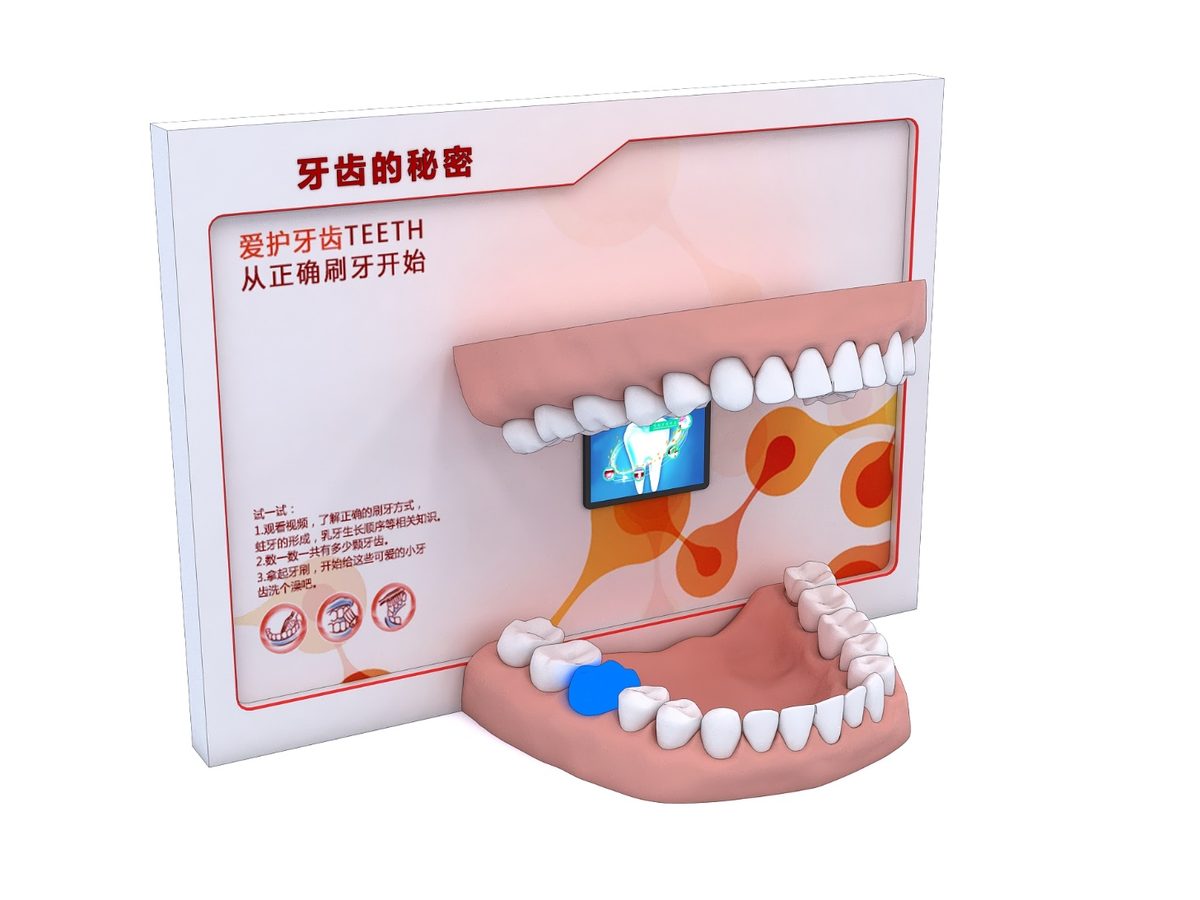Teeth