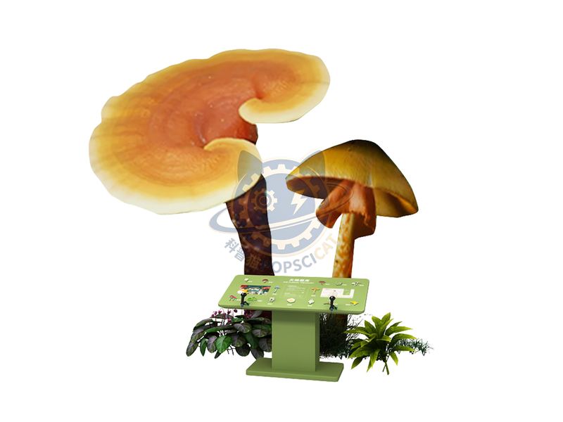 Tianci Mushroom Library — Earth & Ecology exhibit for science museums
