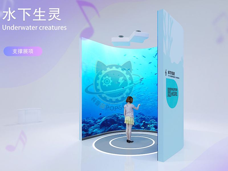 Underwater creatures — Basic Science exhibit for science museums