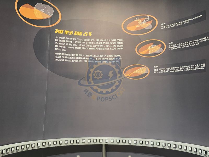 Vision Challenge — Earth & Ecology exhibit for science museums