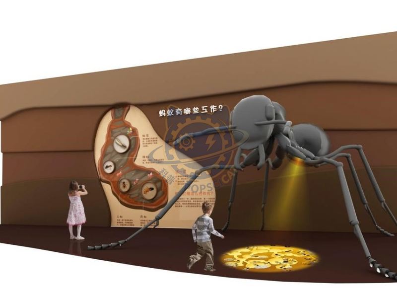 What are the jobs of ants — Earth & Ecology exhibit for science museums