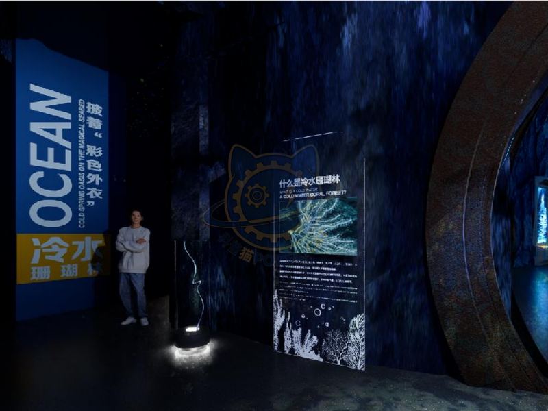 What is a cold water coral forest? — Earth & Ecology exhibit for science museums