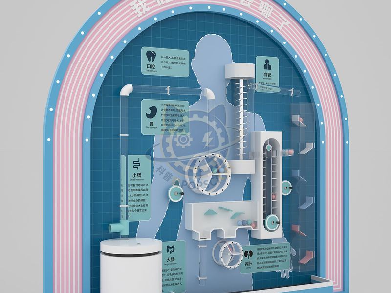 Where did the water we drank go? — Children's Discovery exhibit for science museums