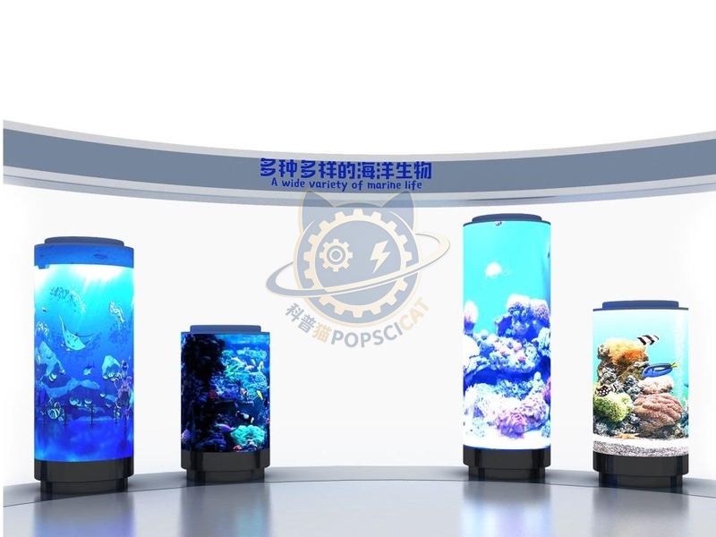 A wide variety of marine organisms — Earth & Ecology exhibit for science museums